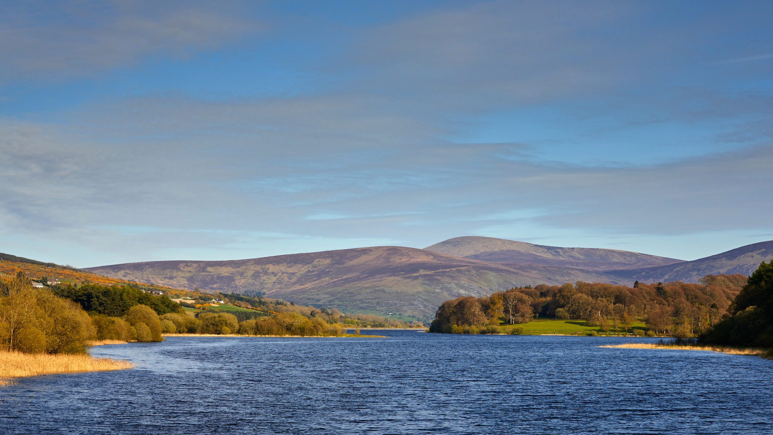 Sorrel Wood, Blessington, Wicklow Explore Wicklow Homes for Sale Cairn